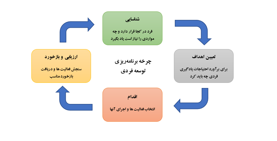 مراحل-توسعه-فردی-و-مزایای-آن-در-سازمان